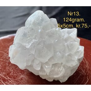 Natur r� kaktus bjergkrystal-13