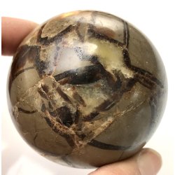 Septarie kugle-12