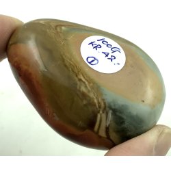 Polychorme jaspis palmsten -1