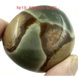 Polychorme jaspis palmsten -19