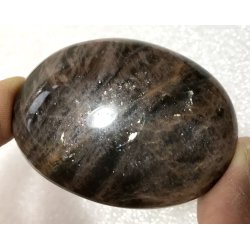 Sort mnesten palmsten-7