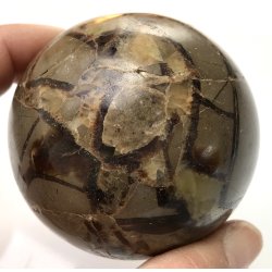 Septarie kugle-12
