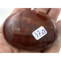 Forstenet tr palmsten-3