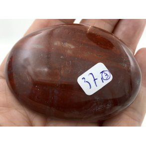 Forstenet tr palmsten-3