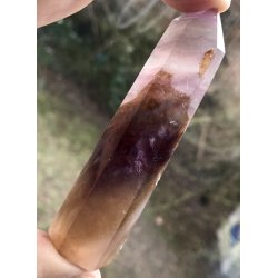 Multi regnbue flourit trn-11