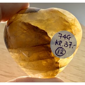 Golden healer hjerte-12