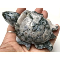 Mos agat skildpadde-8
