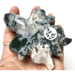 Mos agat skildpadde-8