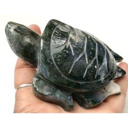 Mos agat skildpadde-9