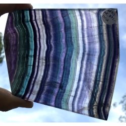 Regnbue flourit skive-3