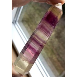 Multi regnbue flourit trn-8