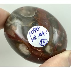 Forstenet tr palmsten-10