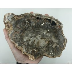 Forstenet tr skive-26