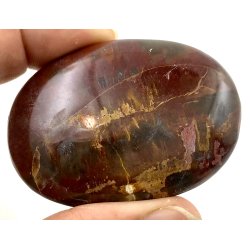 Forstenet tr palmsten-14