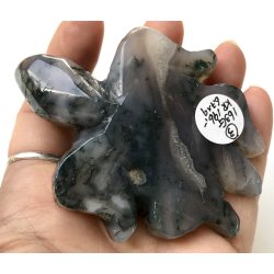 Mos agat skildpadde-3