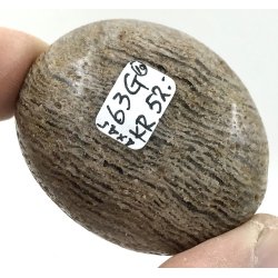 Lodolit  kvarts palmsten-10