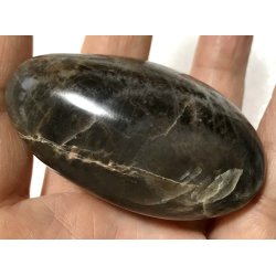 Sort mnesten palmsten-1