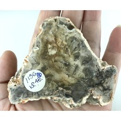 Forstenet tr skive-8