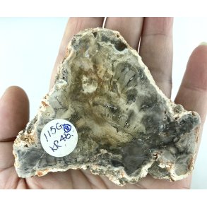 Forstenet tr skive-8