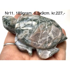 Mos agat skildpadde-11