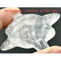 Bjergkrystal stenbuk 2x4x5cm. 