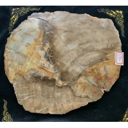 Forstenet tr skive-9