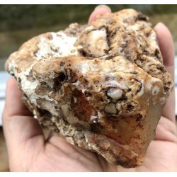 Natur r Blomster agat-4