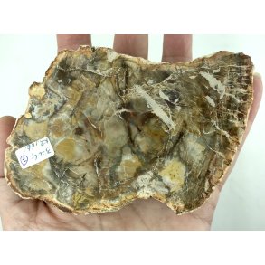 Forstenet tr skive-7