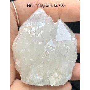 Natur r kaktus bjergkrystal-5