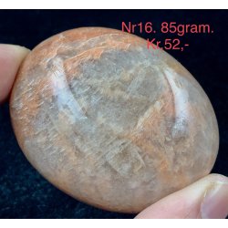 Fersken mnesten palmsten-16