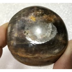 Sort mnesten palmsten-2