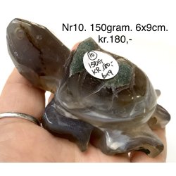 Mos agat skildpadde-10
