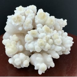 Stalagmit klynge 239gram. 