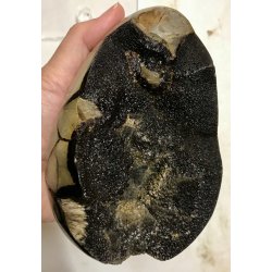 Septarie krystal g -17