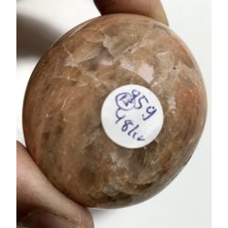 Fersken mnesten palmsten-15