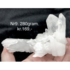 Natur r� kaktus bjergkrystal-9