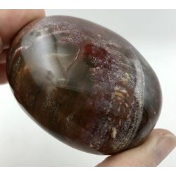 Forstenet tr palmsten-1