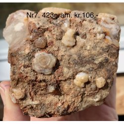 Natur r Blomster agat-7