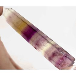 Multi regnbue flourit trn-15