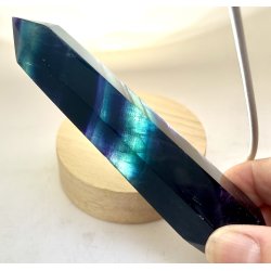 Regnbue flourit t�rn-2