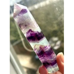 Regnbue flourit t�rn-3