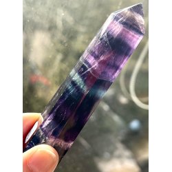 Regnbue flourit t�rn-5