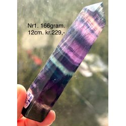 Regnbue flourit t�rn-1