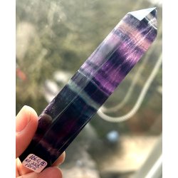 Regnbue flourit t�rn-4