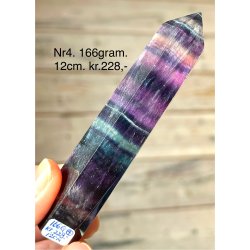 Regnbue flourit t�rn-4