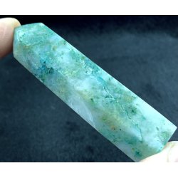 Chrysocolla trn-20