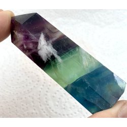 Fjer regnbue flourit trn -7