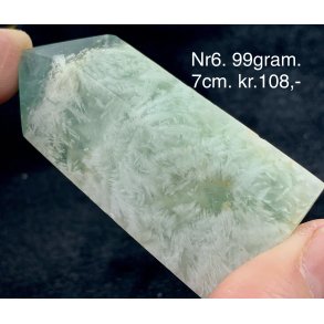 Fjer regnbue flourit trn -6