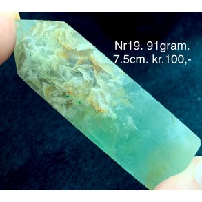 Fjer regnbue flourit trn -19