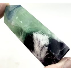 Fjer regnbue flourit trn -12